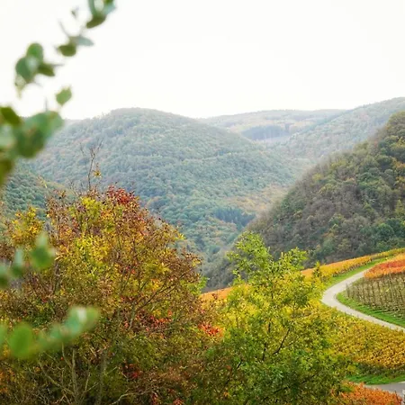 Lägenhet Försters Weinterrassen
