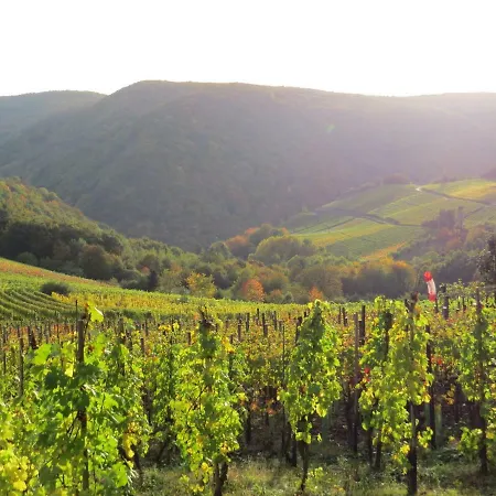 Lägenhet Försters Weinterrassen