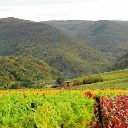 Foersters Weinterrassen Apartman Bad Neuenahr-Ahrweiler