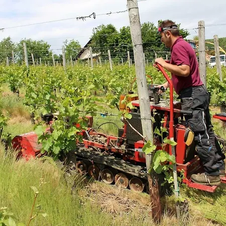 Försters Weinterrassen *
