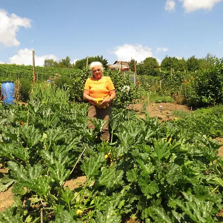 Apartman Foersters Weinterrassen *