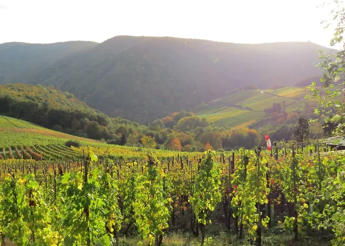 Apartment Försters Weinterrassen