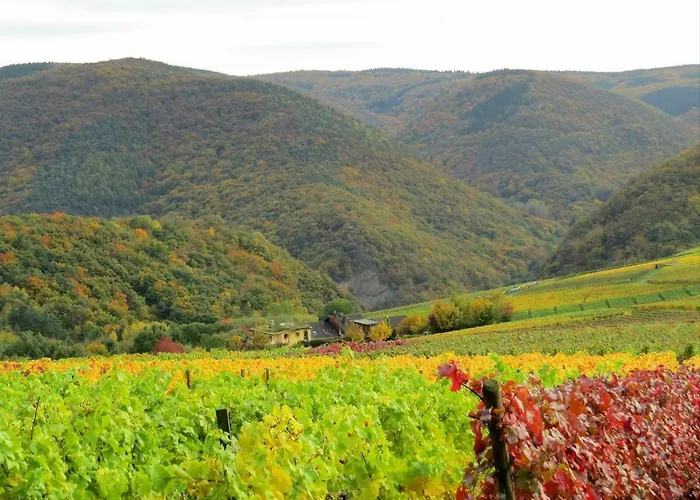 Försters Weinterrassen Apartment Bad Neuenahr-Ahrweiler