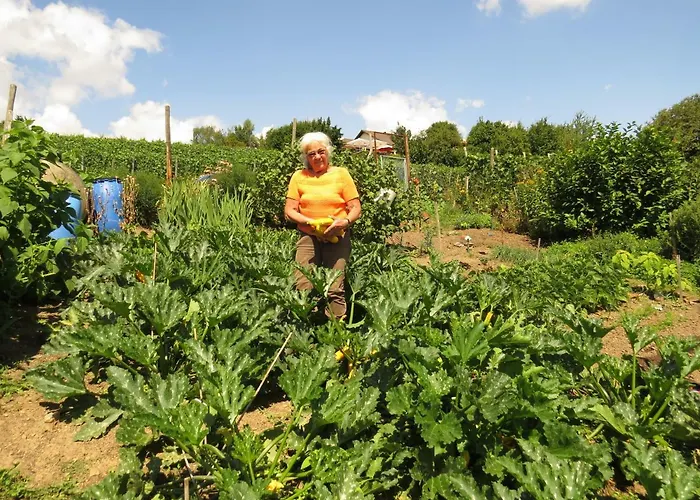 Apartment Försters Weinterrassen *