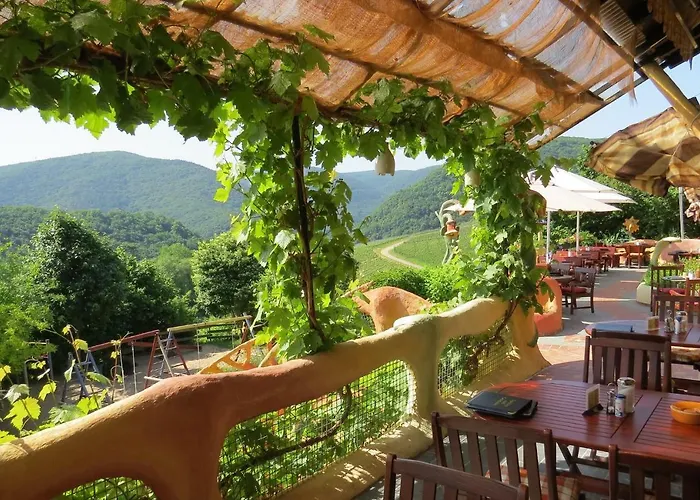 Försters Weinterrassen Bad Neuenahr-Ahrweiler